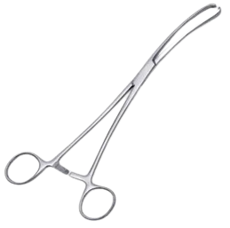 VULLSELLUM FORCEP TEALE